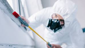 Best Real Estate Pest Inspections  in Cambridge City, IN